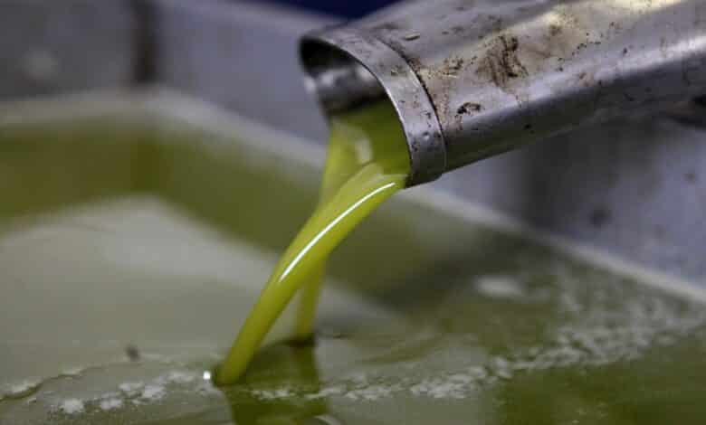 Fresh oil is seen at after crush olive at a traditional stone press in the village of Deir Bzeigh near the West Bank city of Ramallah, 15 October 2014. Regional farmers are harvesting their olives this year from mid-October until 01 November. According to figures issued by the United Nations some 80,000 Palestinian families earn their income from growing olives in plantations which reportedly occupy about 48 per cent of the agricultural land in the West Bank and Gaza strip. About 93 percent of the olive harvest pressed to oil with the rest being used in soap production. Photo by Shadi Hatem