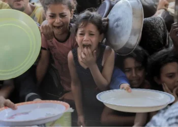 الأمم المتحدة: غزة بدون طعام ودواء ومواد أساسية منذ 50 يوما
