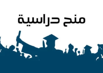 منح دراسية من الوكالة السلوفاكية للمعلومات الأكاديمية