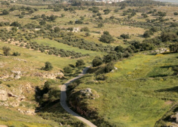 أجواء ربيعية في أغلب المناطق خلال عطلة نهاية الأسبوع