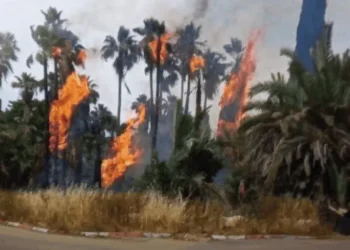 حرائق كبيرة بين القدس وتل أبيب والسلطات تحاول إجلاء المئات