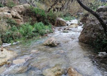 راجب تشهد حركة سياحية نشطة وسط مطالب بتوسعة الطرق