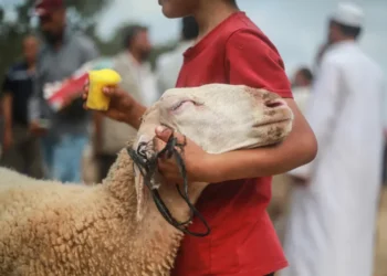 مركز الفلك الدولي يحدد موعد عيد الأضحى 2025