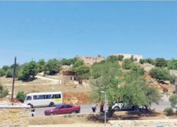 هل ينهي استحداث حدائق مؤهلة تداعيات التنزه العشوائي في عجلون؟