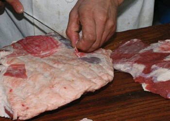 اتلاف ٣٠٠ كغم من اللحوم غير صالحة للاستهلاك في الكرك