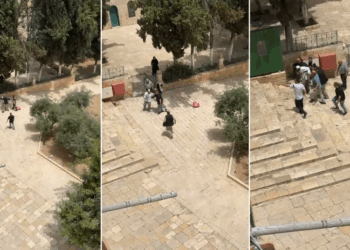 حراس المسجد الأقصى يمنعون مستوطنين من تهريب خروف لذبحه في ساحات المسجد
