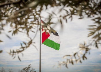4 دول أوروبية تدعو لمنح فلسطين عضوية كاملة في الأمم المتحدة