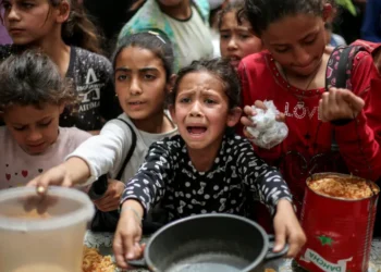 رضيعة فلسطينية تموت جوعا بين ذراعي أمها في غزة المحاصرة