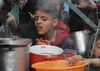 الأونروا: المجاعة تتفاقم و3 آلاف شاحنة مساعدات تنتظر خارج غزة