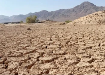 دراسة: تغيّر المناخ يهدد المجتمعات الريفية ويدفع نحو التنقّل الداخلي في الأردن