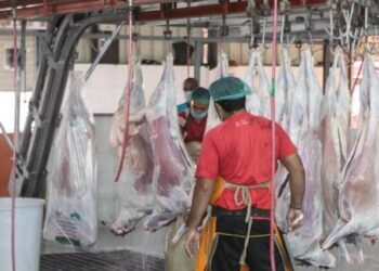 180 طبيب بيطري أردني يشرفون على 4 مسالخ لذبح الهدي في مكة
