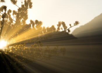 انا عتمتي تثير جدلا واسعا من قبل المعلمين في الأردن