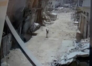 شاهد: مسيّرة إسرائيلية تقصف فلسطينيا يحمل كيسا من الطحين