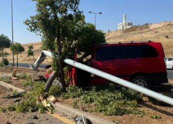 اصطدام مركبة بعمود إنارة وشجرة في عمان