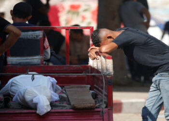 27 شهيدًا في استهداف الاحتلال لتجمعات منتظري المساعدات في غزة