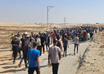 45 شهيدا على الأقل ومئات الجرحى من منتظري المساعدات في خان يونس