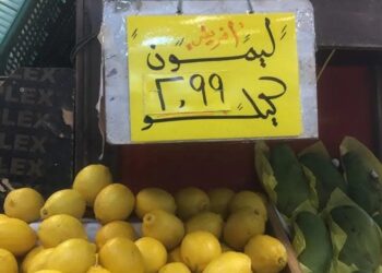 ارتفاع جديد لأسعار الليمون داخل المحلات التجارية