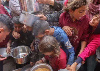 ألمانيا تقيم جسراً جوياً إنسانياً مع غزة عبر الأردن