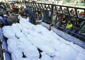 الإحصاء الفلسطينية: انخفاض عدد سكان قطاع غزة 10%