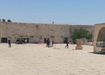 قوات الاحتلال تعتقل مفتي القدس من ساحات المسجد الأقصى