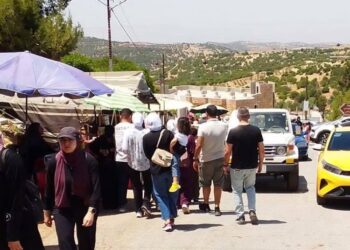 حركة سياحية نشطة وإشغال مرتفع في عجلون