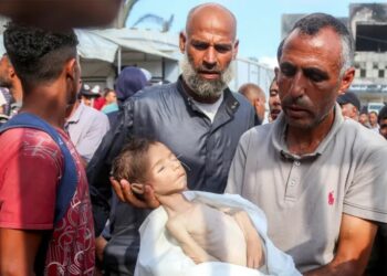 تقارير أممية وإعلامية تؤكد : سكان يعانون من انعدام شبه كامل للغذاء