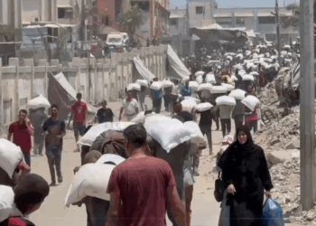 دخول كميات كبيرة من أكياس الطحين إلى غزة من خلال الأردن