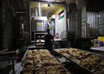 استمرار عمل المخابز الأردنية شمال وجنوب قطاع غزة