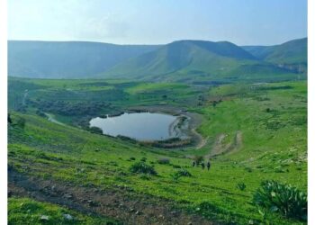 خبير يدعو لإنقاذ الحيوانات البرية ونقلها من بركة العرايس إلى السدود