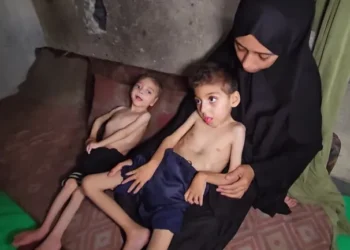 في غضون 24 ساعة.. وفاة 7 فلسطينيين بسبب المجاعة في غزة