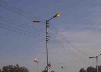 إنقاذ حمامة علقت على عمود للكهرباء في شفا بدران