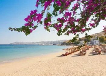 %6 نسبة تراجع عدد الأردنيين المغادرين لغايات السياحة
