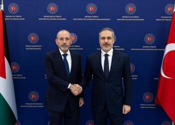 الأردن وتركيا يؤكدان ضرورة تثبيت وقف إطلاق النار في السويداء