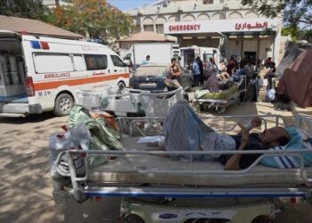 142 شهيدا في غزة خلال الساعات الـ24 الماضية