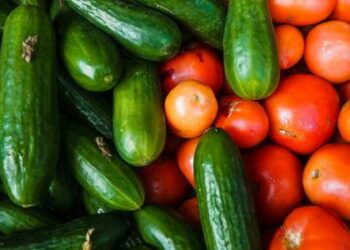 البندورة بـ5 قروش والليمون بـ1.4 دينار في السوق المركزي
