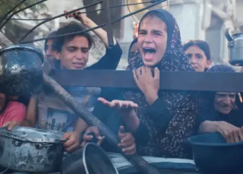 أستراليا لنتنياهو: القوة لا تقاس بعدد من يمكنكم تفجيرهم أو تجويعهم
