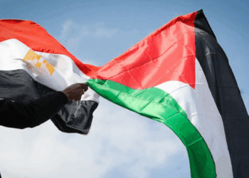 وسط المشهد المؤلم لغزة لم تقف القاهرة مكتوفة الأيدي