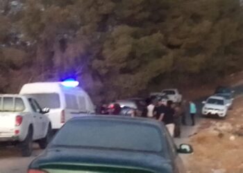 العثور على جثة رضيع ملقاة بين الأشجار في ماعين