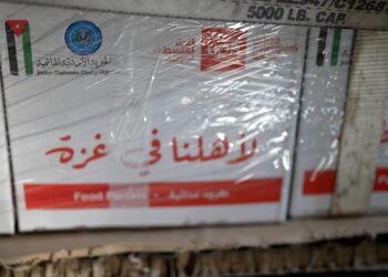الأردن يستمر بإيصال المساعدات إلى غزة عبر إنزالات جوية جديدة