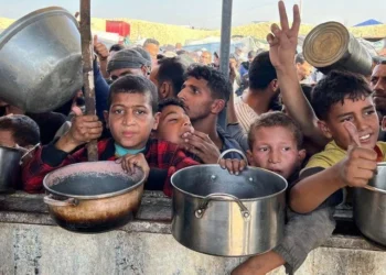 منظمات أجنبية تحذر: قواعد الاحتلال الجديدة تمنع وصول المساعدات إلى غزة
