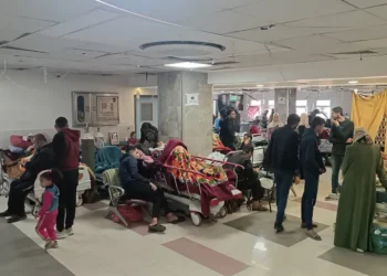 انتشار فيروس جديد شبيه بكورونا في غزة