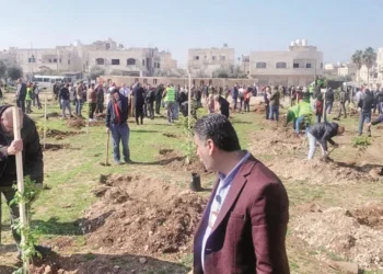 مشاريع التشجير تمضي وسط مأزق التحديات.. فهل تصل إلى أهدافها؟