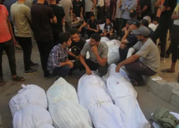 100 شهيد بمجازر إسرائيلية في قطاع غزة خلال يوم
