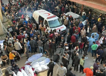 معارك على أطراف مدينة غزة والاحتلال يستعد لإخراج سكانها إلى جنوب