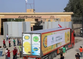 مصر: حريصون على وقف التهجير والتجويع في غزة والتظاهر أمام سفاراتنا يضر بالقضية