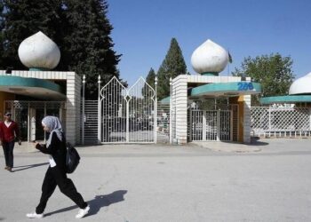 الخطيب: استحداث 30 تخصصا جديدا في الجامعات الرسمية