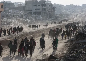50 شهيدا و184 مصابا في غزة خلال 24 ساعة