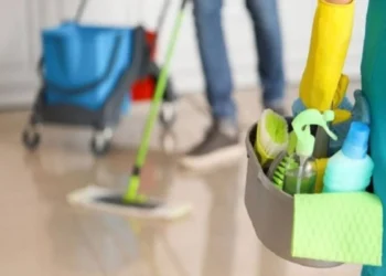 البكار يشكل لجنتين لدراسة إجراءات العمالة المنزلية وغير الأردنية