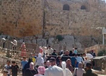 محافظة عجلون تشهد حركة سياحية نشطة خلال نهاية الأسبوع