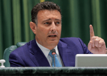 الصفدي : الملك وضع قاعدة للعمل الجماعي العربي لا تقبل التأجيل أو التردد